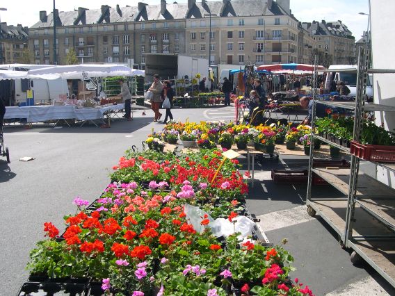  le marché